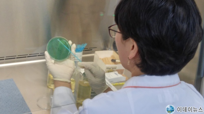 해수 채취 과정 및 비브리오패혈증균 검사과정